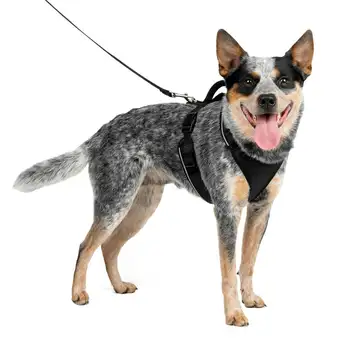 Postroj pes, Nastavitelné, Polstrované Rukojeti, Reflexní, Střední, Střední, Černá Custom dog tag Airtag obojek držitel Psa položky