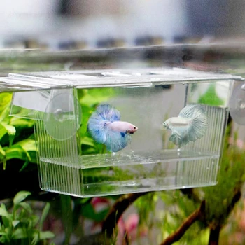 Domácí Chov Ryb Chovatel Box Akvárium Dítě Rybí Líhně Izolaci Čisté Fish Tank Inkubátoru Box Akvarijní Příslušenství